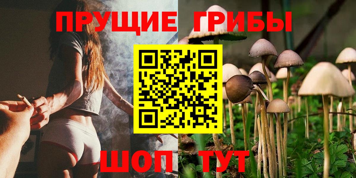 даркнет сайт  Галлюциногенные грибы мицелий  Вход с VPN  Галлюциногенные грибы прущие грибы  Подольск 