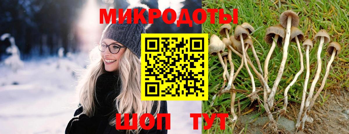Галлюциногенные грибы Cubensis Подольск